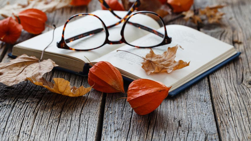 Transition into Autumn