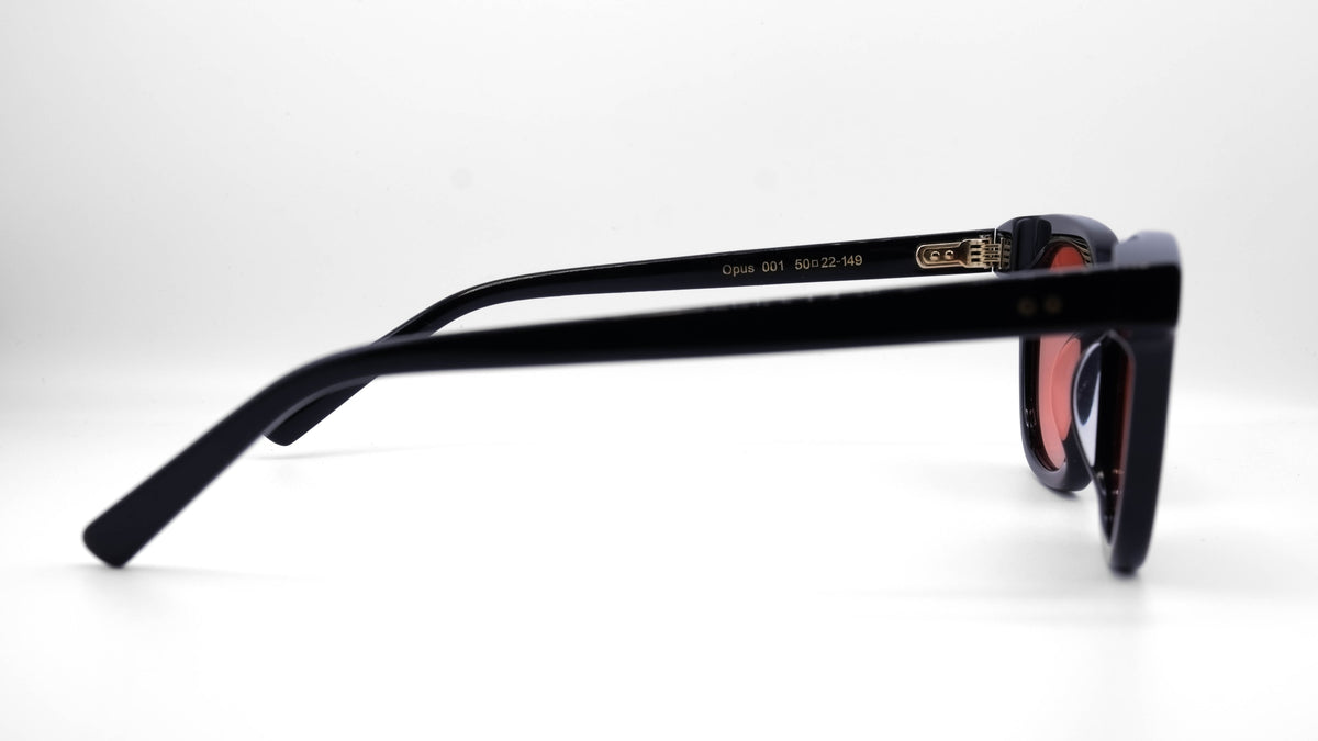 J.HYDE Opus glasses, HYDE tinted frame, colour 001