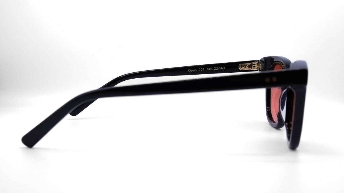 J.HYDE Opus glasses, HYDE tinted frame, colour 001