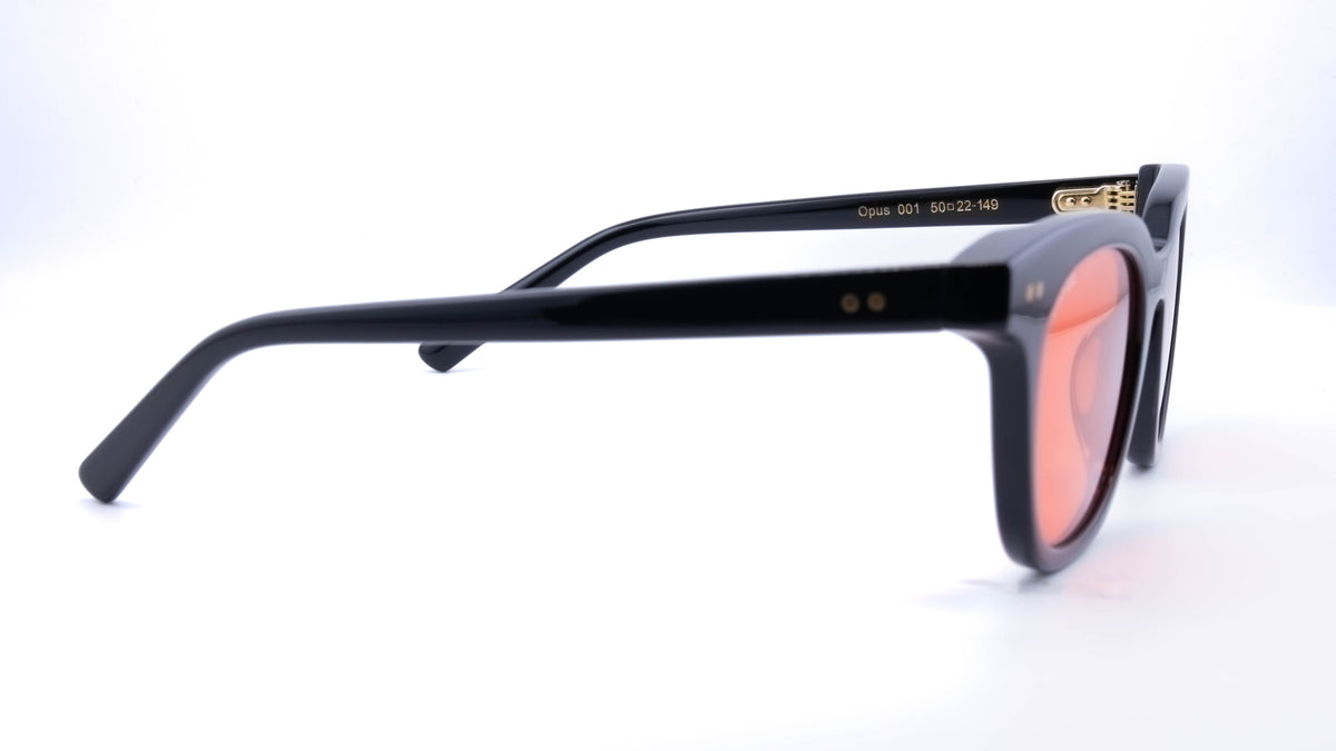 J.HYDE Opus glasses, HYDE tinted frame, colour 001